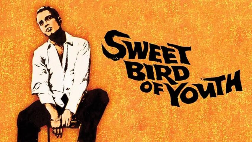 مشاهدة فيلم Sweet Bird of Youth 1962 مترجم