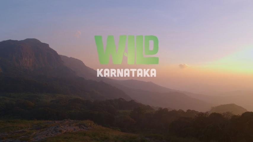 مشاهدة فيلم Wild Karnataka 2020 مترجم