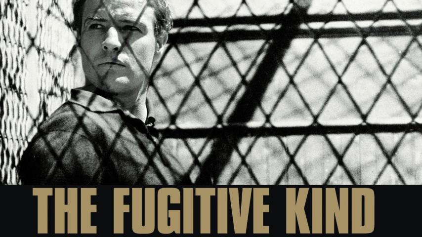 مشاهدة فيلم The Fugitive Kind 1960 مترجم