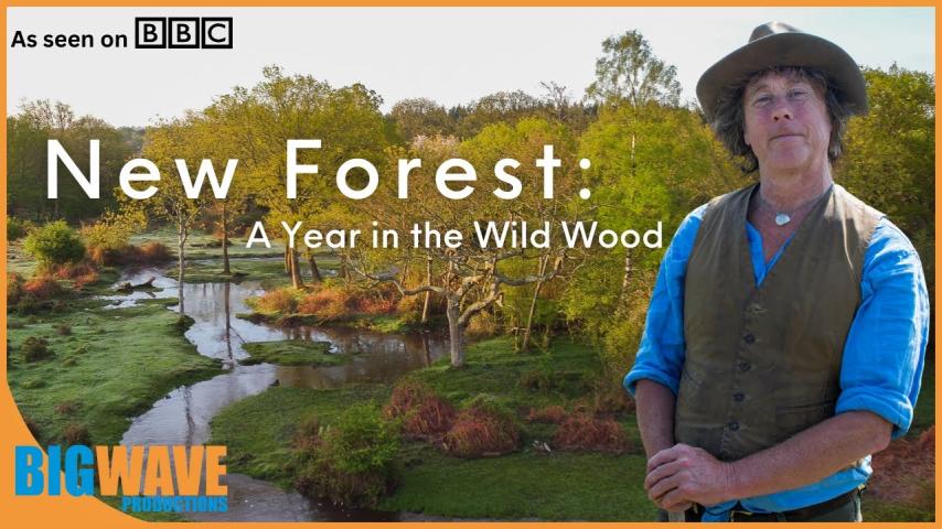 مشاهدة فيلم New Forest: A Year in the Wild Wood 2019 مترجم