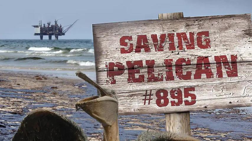 مشاهدة فيلم Saving Pelican 895 2011 مترجم