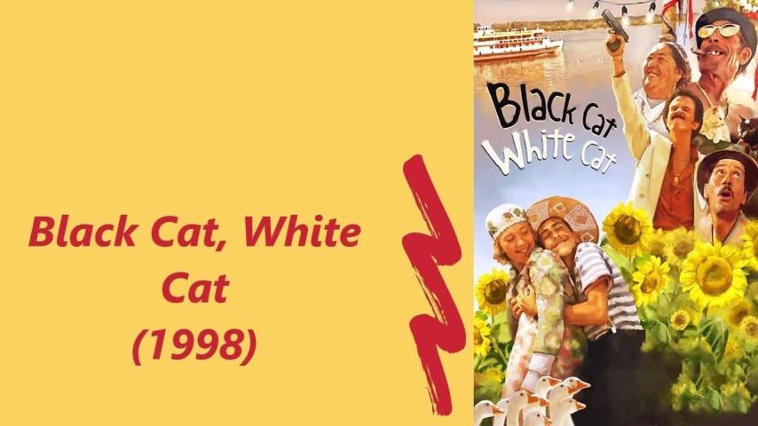 مشاهدة فيلم Black Cat, White Cat 1998 مترجم