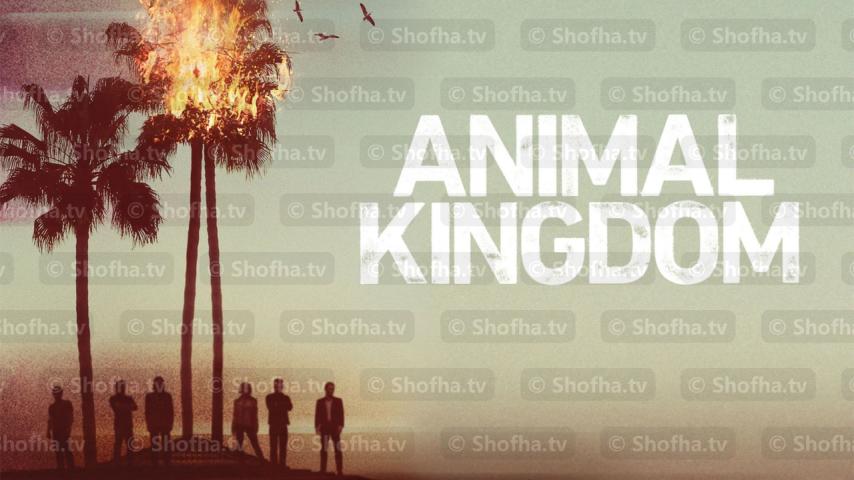 مسلسل Animal Kingdom الموسم 1 الحلقة 1 مترجمة