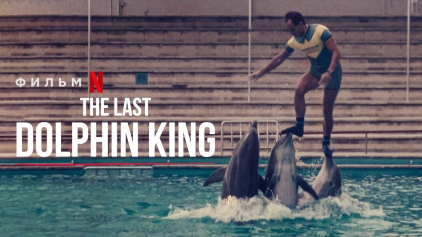 مشاهدة فيلم The Last Dolphin King 2022 مترجم