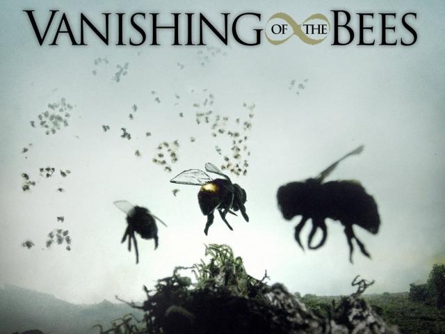 مشاهدة فيلم Vanishing of the Bees 2009 مترجم