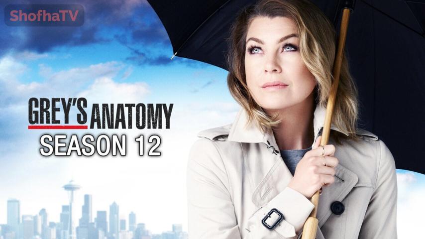 مسلسل Grey's Anatomy الموسم 12 الحلقة 1 مترجمة