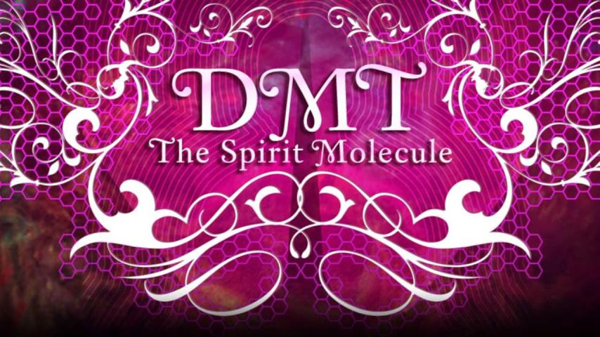 مشاهدة فيلم DMT: The Spirit Molecule 2010 مترجم