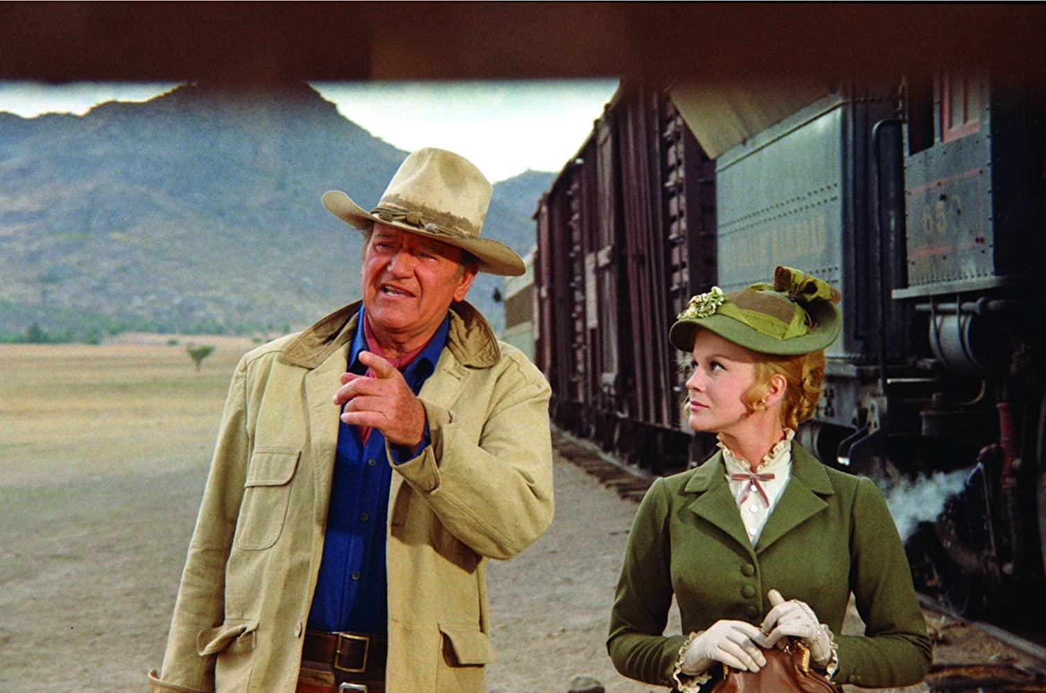 مشاهدة فيلم The Train Robbers 1973 مترجم