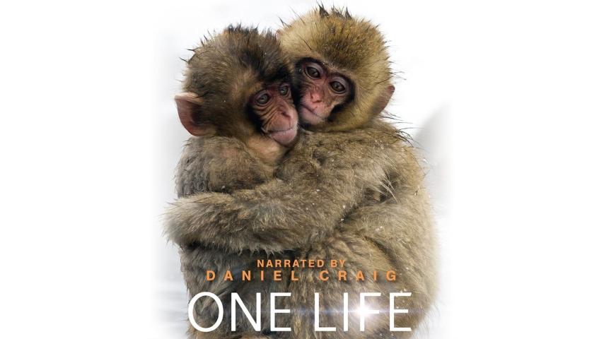 مشاهدة فيلم One Life 2011 مترجم