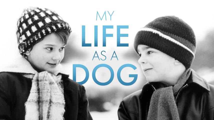 مشاهدة فيلم My Life as a Dog 1985 مترجم