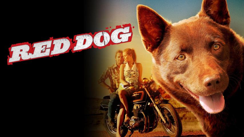 مشاهدة فيلم Red Dog 2011 مترجم