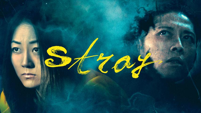 مشاهدة فيلم Stray 2019 مترجم