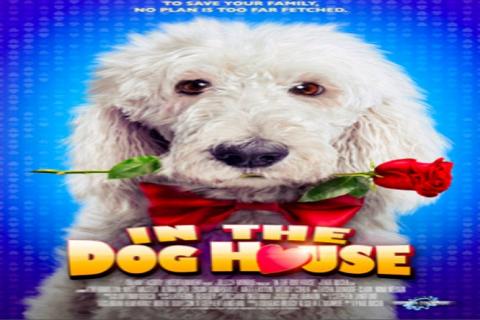 مشاهدة فيلم In the Dog House 2014 مترجم