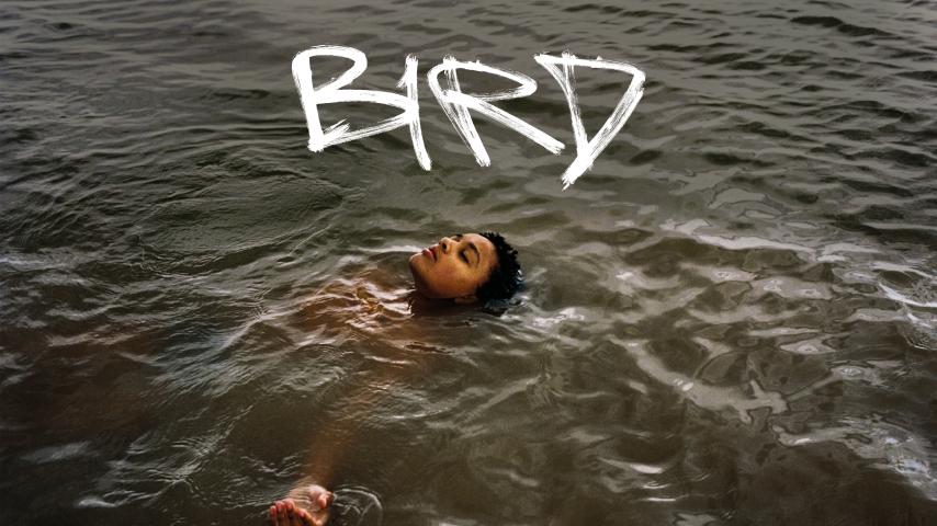 مشاهدة فيلم Bird 2024 مترجم