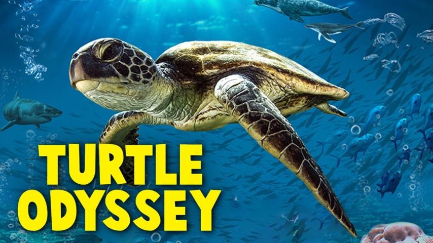 مشاهدة فيلم Turtle Odyssey 2018 مترجم