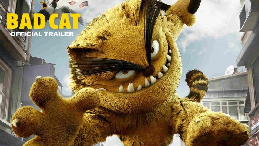 مشاهدة فيلم Bad Cat 2016 مترجم