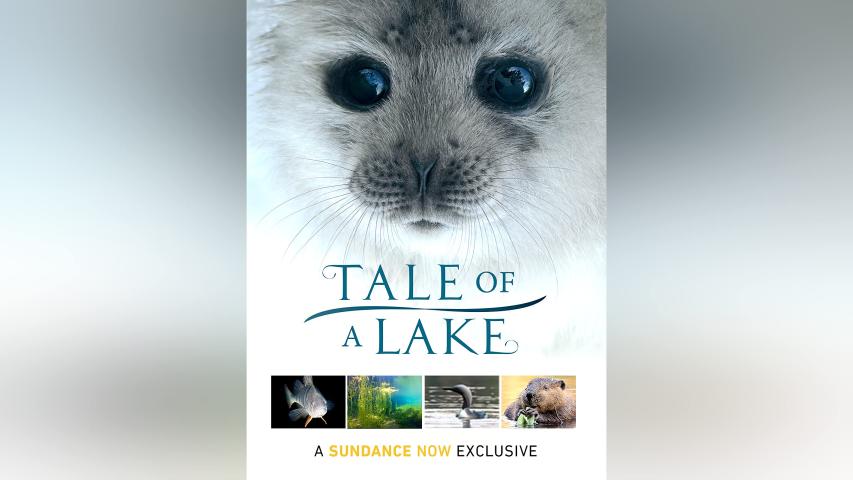 مشاهدة فيلم Tale of a Lake 2016 مترجم