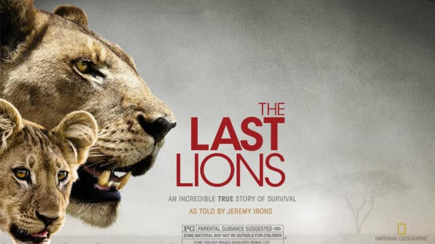 مشاهدة فيلم The Last Lions 2011 مترجم