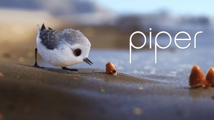 مشاهدة فيلم Piper 2016 مترجم