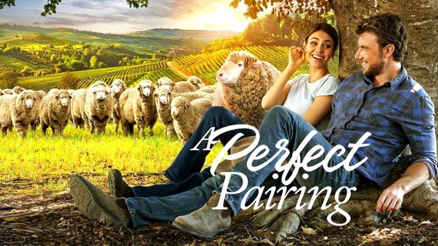 مشاهدة فيلم A Perfect Pairing 2022 مترجم