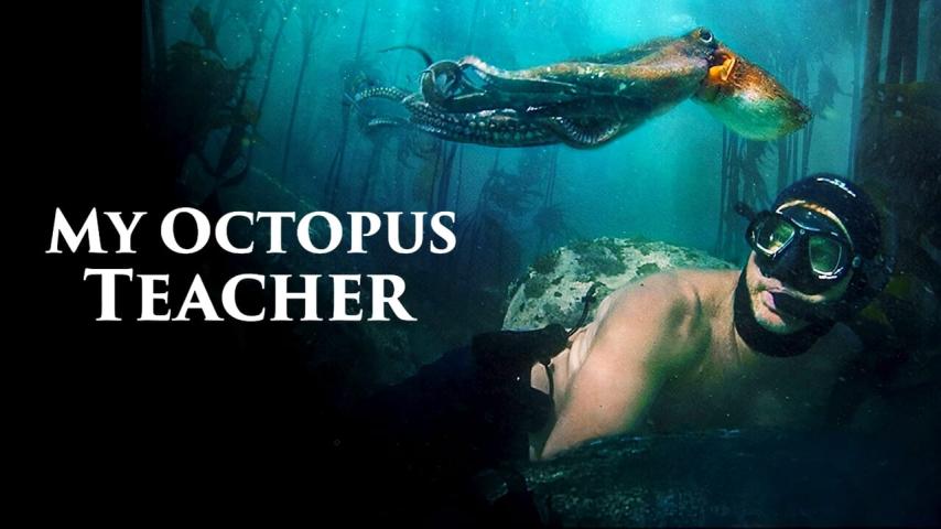 مشاهدة فيلم My Octopus Teacher 2020 مترجم