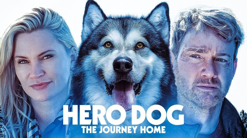 مشاهدة فيلم Hero Dog: The Journey Home 2021 مترجم