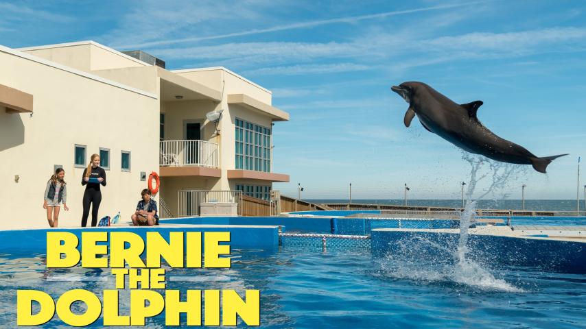 مشاهدة فيلم Bernie The Dolphin 2018 مترجم