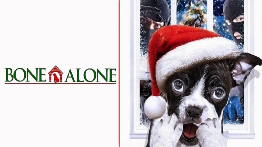 مشاهدة فيلم Alone for Christmas 2013 مترجم