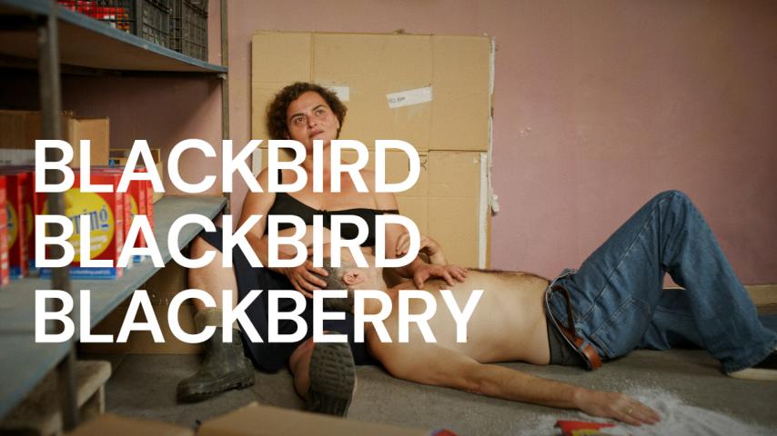 مشاهدة فيلم Blackbird Blackbird Blackberry 2023 مترجم