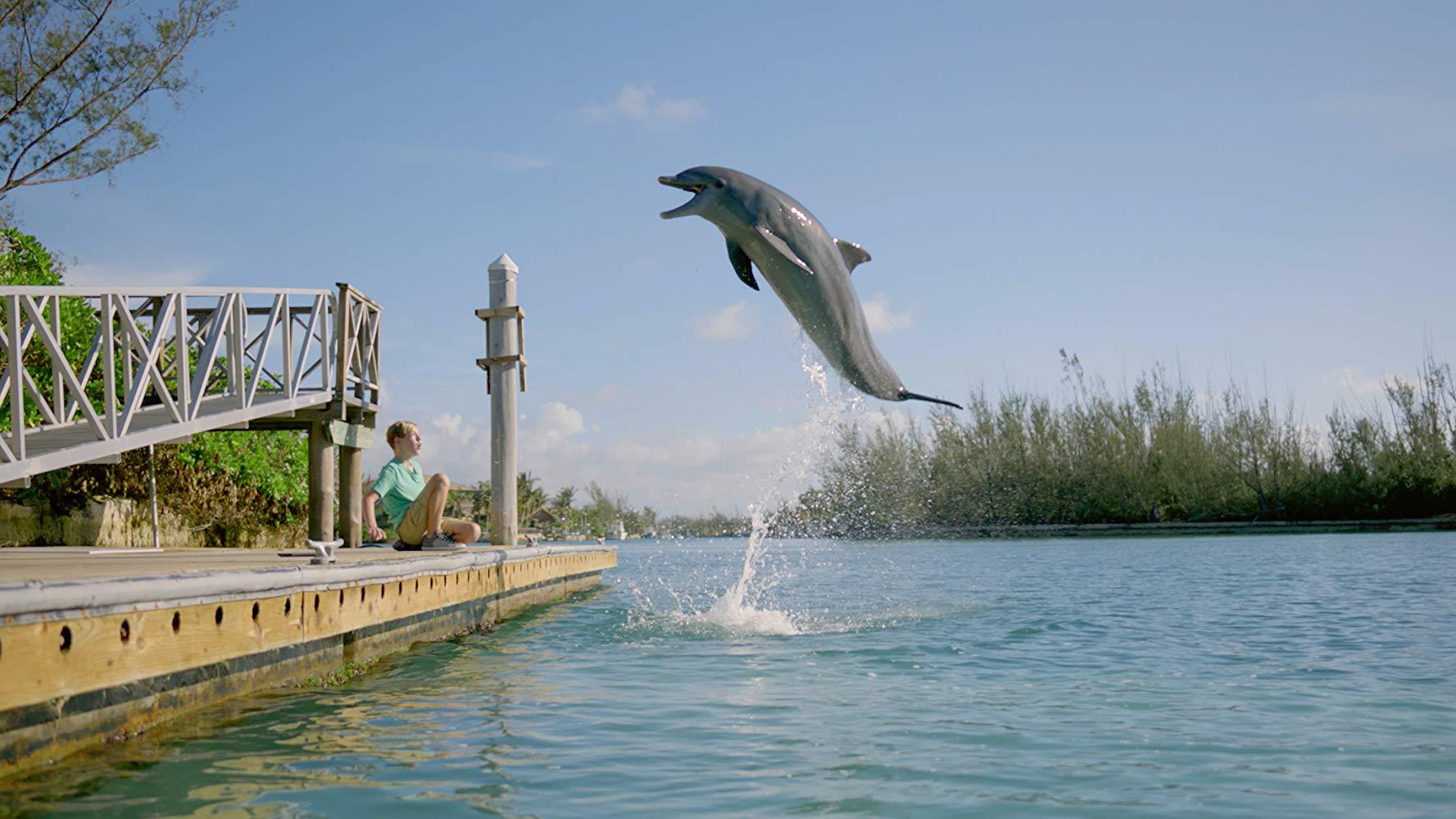 مشاهدة فيلم Dolphin Kick 2019 مترجم