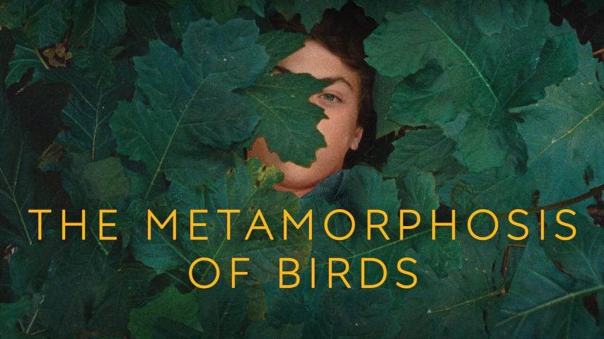 مشاهدة فيلم The Metamorphosis of Birds 2020 مترجم