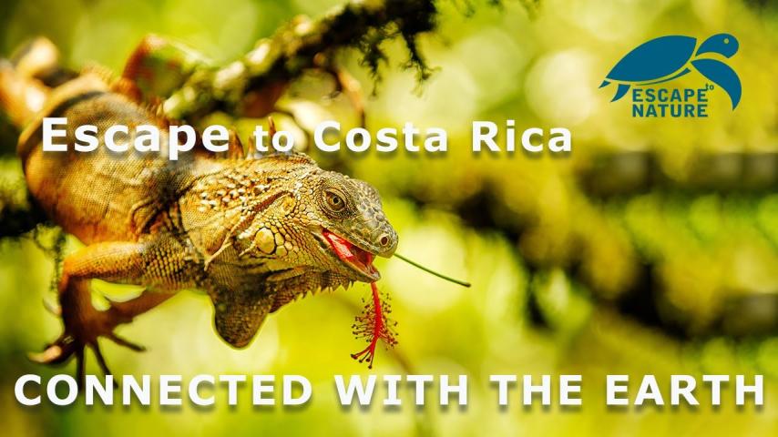 مشاهدة فيلم Escape to Costa Rica 2018 مترجم