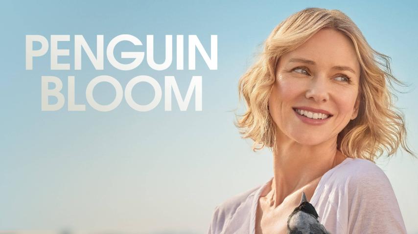 مشاهدة فيلم Penguin Bloom 2020 مترجم