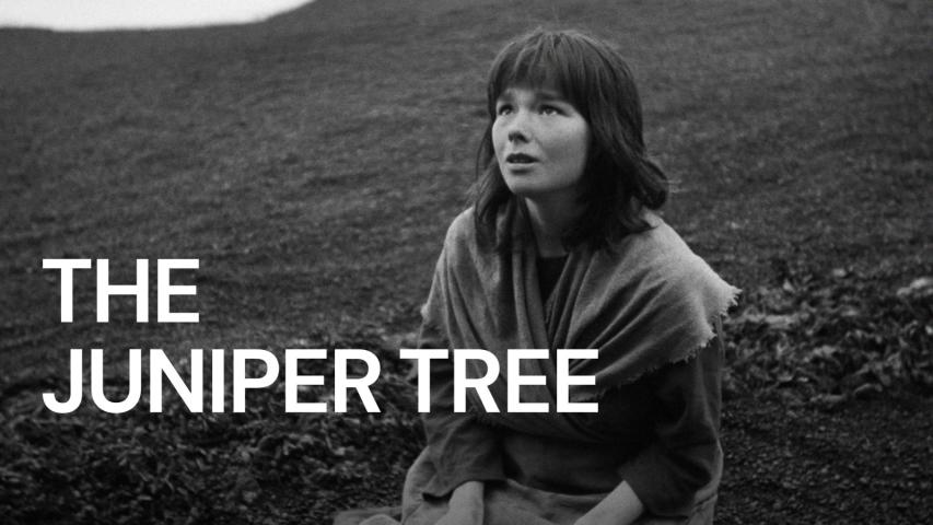 مشاهدة فيلم The Juniper Tree 1990 مترجم