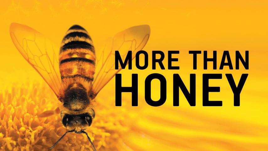 مشاهدة فيلم More Than Honey 2012 مترجم