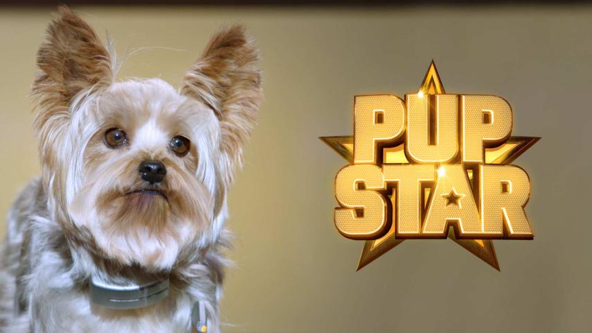 مشاهدة فيلم Pup Star 2016 مترجم