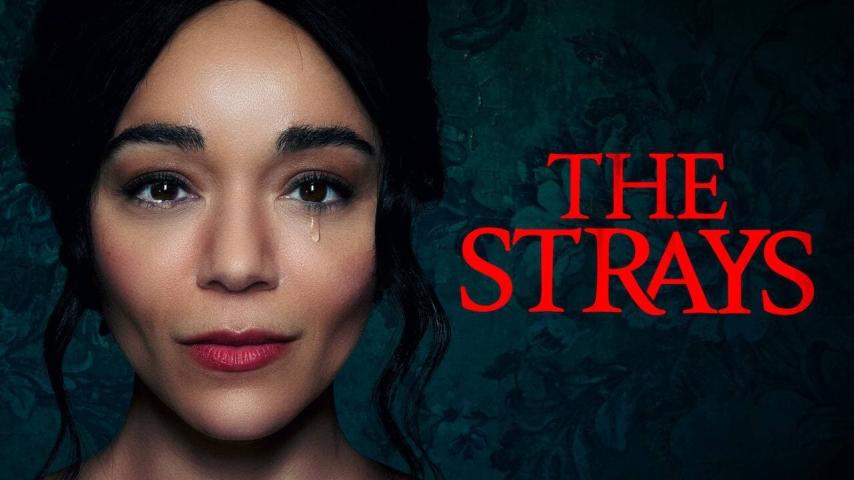 مشاهدة فيلم The Strays 2023 مترجم