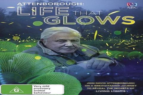 مشاهدة فيلم Attenboroughs Life That Glows 2016 مترجم