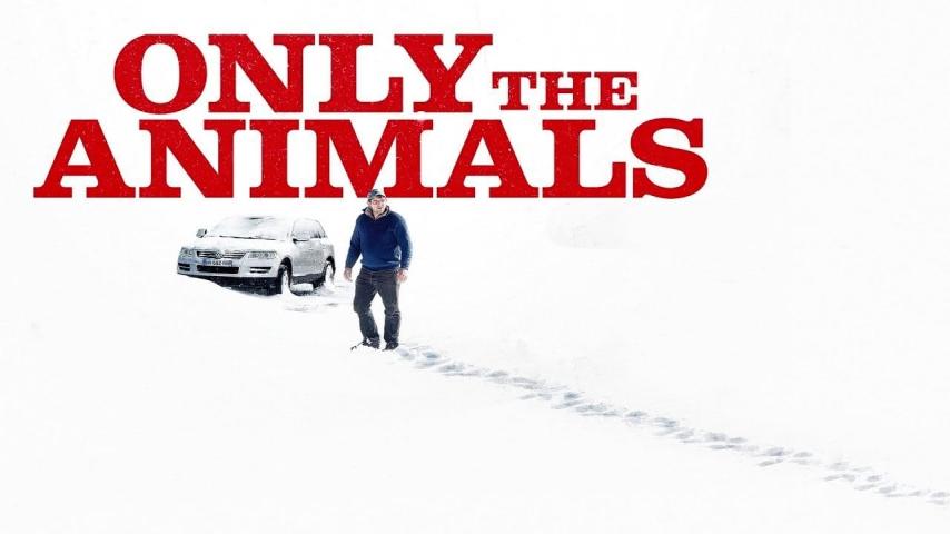 مشاهدة فيلم Only the Animals 2019 مترجم