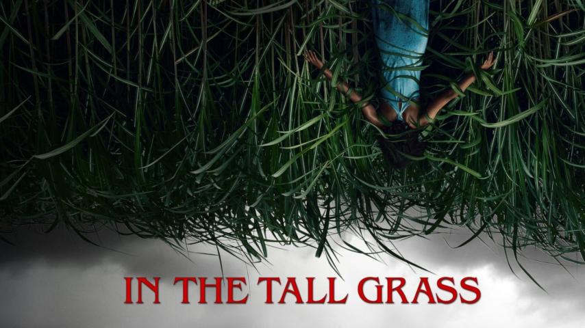 مشاهدة فيلم In the Tall Grass 2019 مترجم