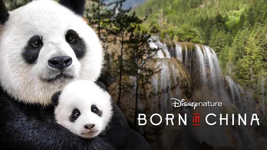 مشاهدة فيلم Born in China 2016 مترجم