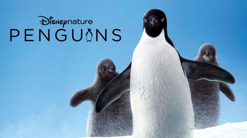 مشاهدة فيلم Penguins 2019 مترجم