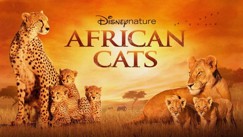 مشاهدة فيلم African Cats 2010 مترجم