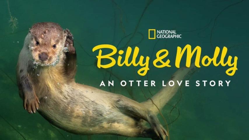 مشاهدة فيلم Billy & Molly: An Otter Love Story 2024 مترجم