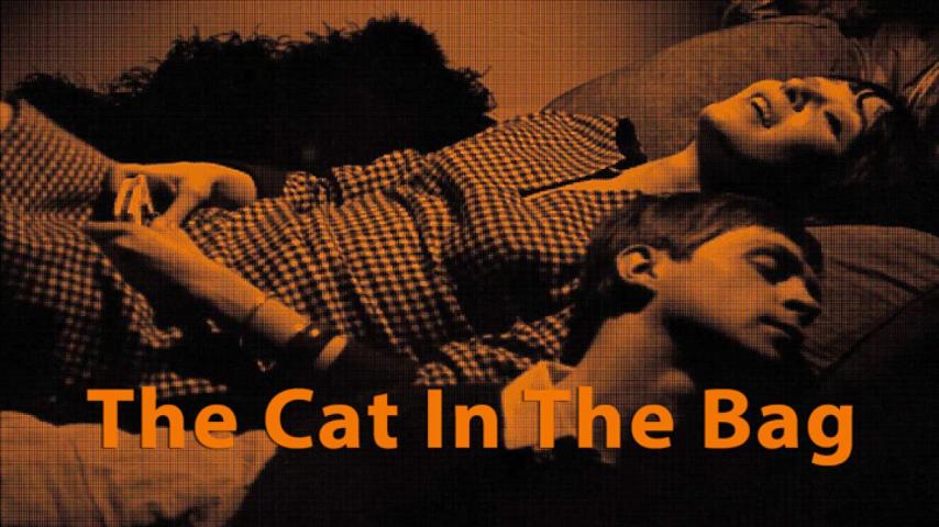 مشاهدة فيلم The Cat in the Bag 1964 مترجم