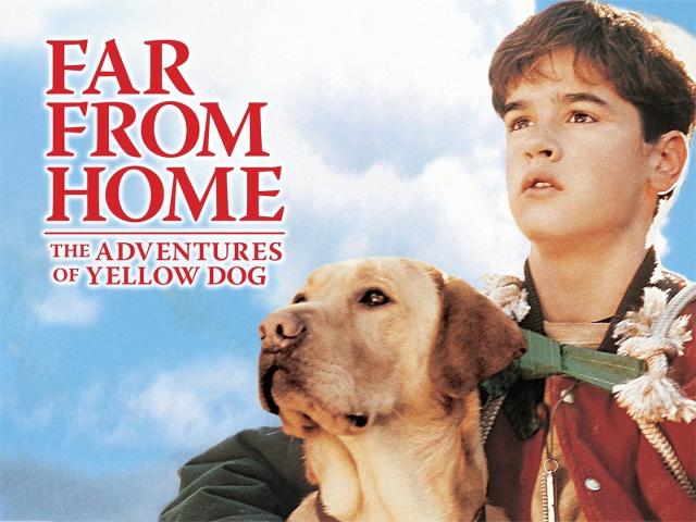 مشاهدة فيلم Far from Home: The Adventures of Yellow Dog 1995 مترجم