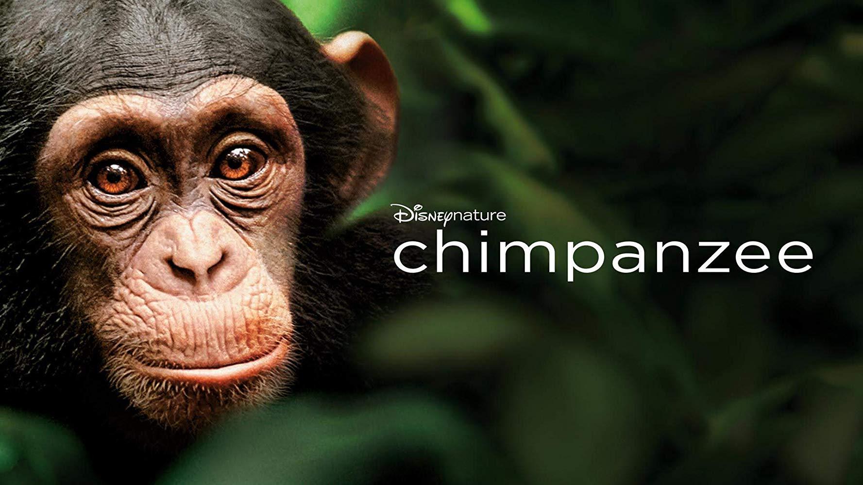 مشاهدة فيلم Chimpanzee 2012 مترجم