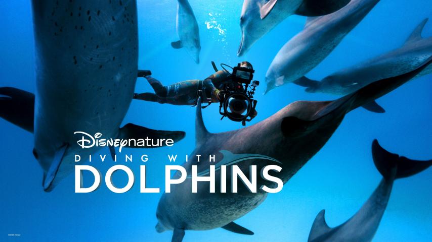 مشاهدة فيلم Diving With Dolphins 2020 مترجم