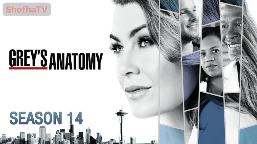 مسلسل Grey's Anatomy الموسم 14 الحلقة 1 مترجمة