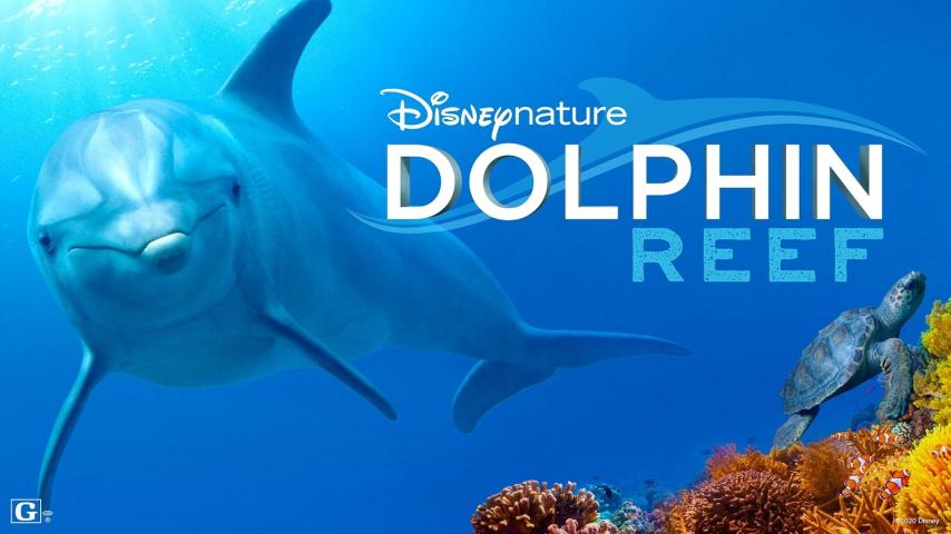 مشاهدة فيلم Dolphin Reef 2018 مترجم